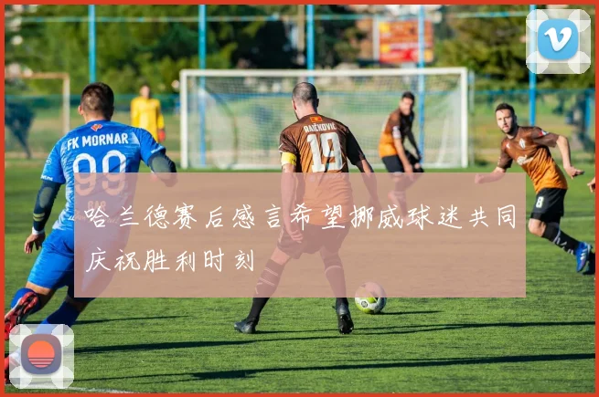 哈兰德赛后感言希望挪威球迷共同庆祝胜利时刻